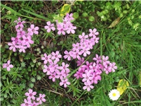 0a56a217-Picture 004.jpg